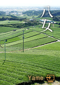 八女