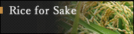 Sake Rice