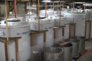 Brewing Tanks