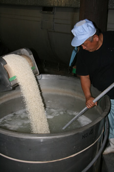 First Step, Rice Koji