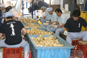 Preparing the Sweet Potatoes