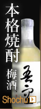 焼酎